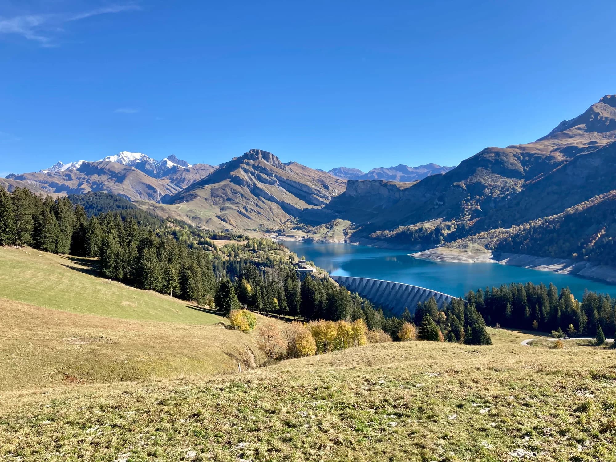 A lake surrounded by mountains and forest, photographed during a collection outing